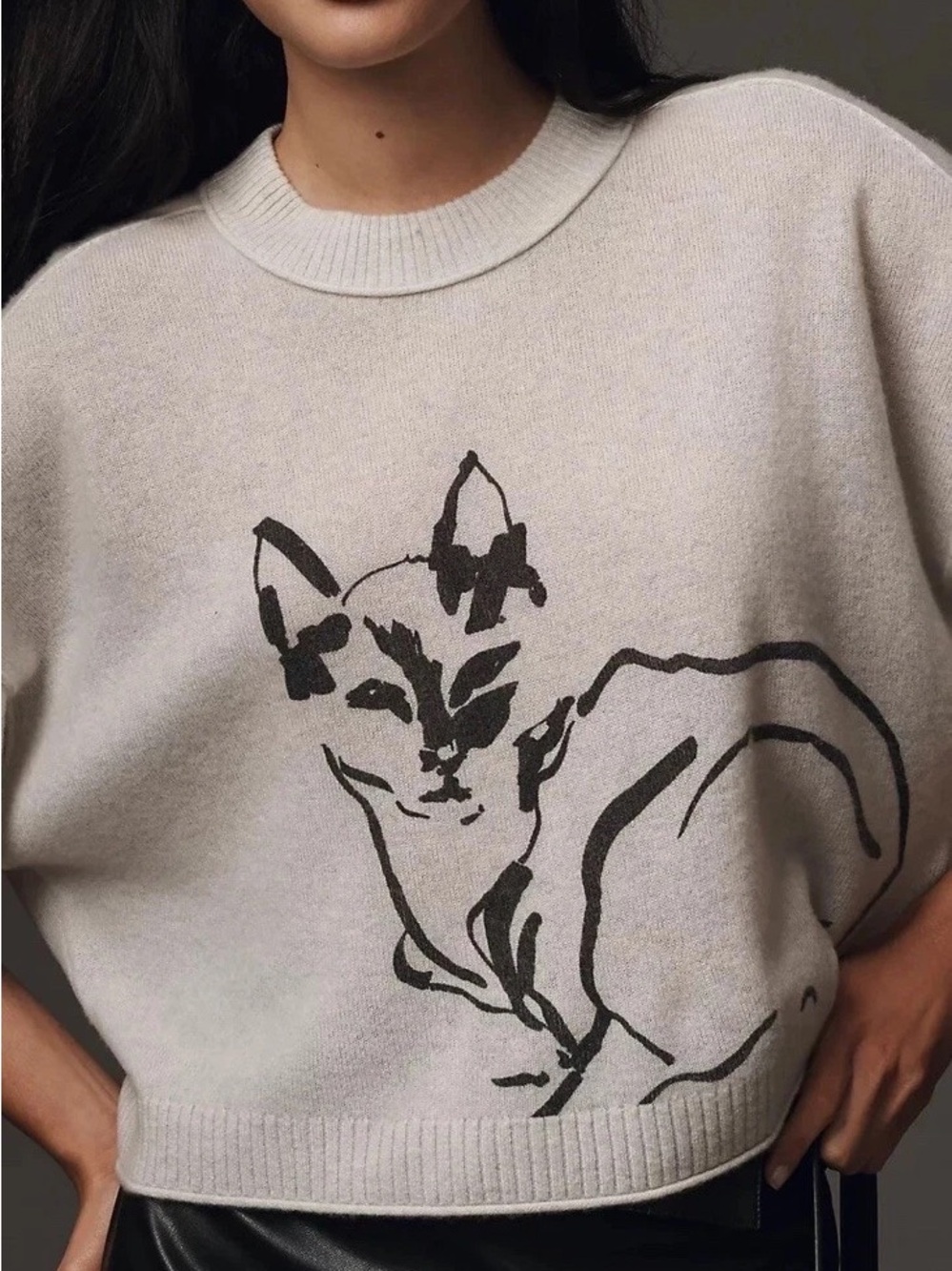 Anthropologie The Goldie Crew Neck Cashmere Sweater Cat